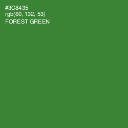 #3C8435 - Forest Green Color Image